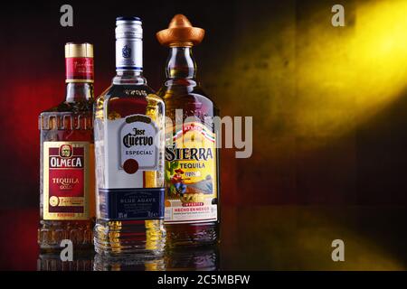 POSEN, POL - 29. JAN 2020: Flaschen der meistverkauften globalen Tequila-Marken, darunter Jose Cuervo, Olmeca und Sierra Stockfoto