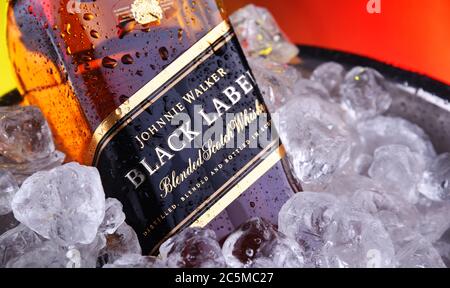 POZNAN, POL - APR 16, 2020: Flasche Johnnie Walker Black Label im Eimer mit zerdrücktem Eis Stockfoto