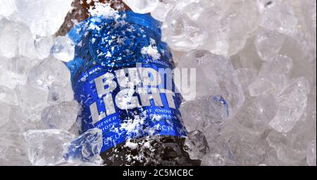 POSEN, POL - 22. MAI 2020: Flasche Bud Light Beer, ein amerikanisches Leichtbier, hergestellt von Anheuser-Busch, eingeführt 1982. Stockfoto