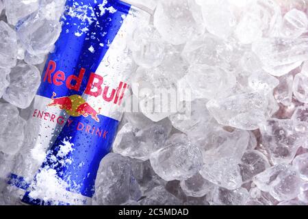 POSEN, POL - 10. JUN 2020: Dose Red Bull, ein Energy Drink, der von der 1987 gegründeten österreichischen Red Bull GmbH verkauft wird Stockfoto