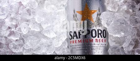 POSEN, POL - 26. JUN 2020: Dose Sapporo Bier, ein Produkt der Sapporo Breweries, einer japanischen Bierbrauerei, die 1876 gegründet wurde. Stockfoto