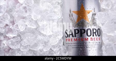 POSEN, POL - 26. JUN 2020: Dose Sapporo Bier, ein Produkt der Sapporo Breweries, einer japanischen Bierbrauerei, die 1876 gegründet wurde. Stockfoto