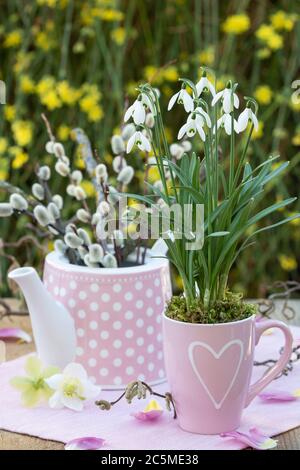 Romantische Dekoration mit Schneetropfen in Tasse und Weidenkätzchen in Teekocher Stockfoto