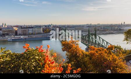 Freiheitsbrücke Szabadsag versteckte sich bei Sonnenaufgang mit schönen Herbstlaub in Budapest, Ungarn Stockfoto
