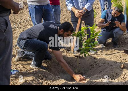 Eine Gruppe verschiedener Altersgruppen pflanzt während des Erdtages in Jordanien Setzlinge Stockfoto