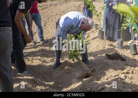 Eine Gruppe verschiedener Altersgruppen pflanzt während des Erdtages in Jordanien Setzlinge Stockfoto