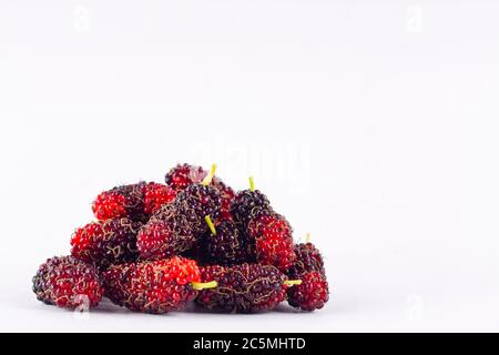 Gruppe von reifen Maulbeeren auf weißem Hintergrund gesunde Maulbeerfrucht Lebensmittel isoliert Stockfoto