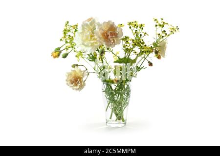 Bouquet aus erröten orangen Rosen und rue in Glasvase isoliert mit kleinen Schatten auf weißem Hintergrund, ausgewählte Fokus Stockfoto