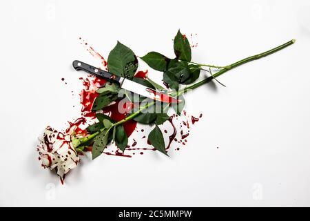 Schöne und blutige weiße Rose auf dem weißen Hintergrund. Blutige Rose - konzeptionelles Foto. Weiße Rose mit Blut. Stockfoto