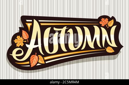 Vektor-Banner für die Herbstsaison, schwarzes Logo mit lockiger kalligraphischer Schrift, Herbstblätter und Zierstreifen, Grußkarte mit einzigartigem Pinsel-Brief Stock Vektor