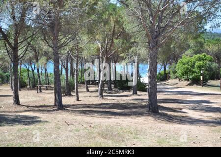 san teodoro , ITALIEN - JUNI 19 2020 : Lu Impostu Strand sumemr 2020 sardinien italien Stockfoto