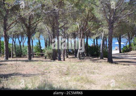 san teodoro , ITALIEN - JUNI 19 2020 : Lu Impostu Strand sumemr 2020 sardinien italien Stockfoto