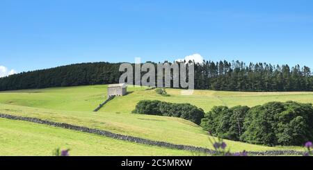 Ein Blick über die Cumbria Landschaft im English Lake District National Park in Nordengland. Die Aussicht ist in der Nähe des Dorfes Dacre. Stockfoto