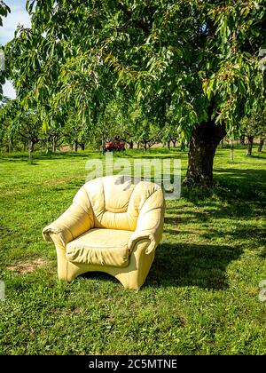 Ein alter Ledersessel unter dem Kirschbaum in einem Bauerngarten Stockfoto