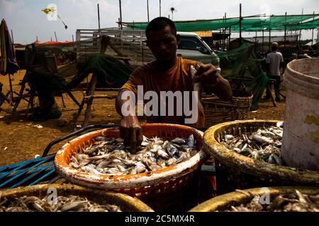 KHM - ENV - TONLE SAP Porträt der Tonle SAP Region, dem größten See Südostasiens mit einem einzigartigen Naturphänomen, das jetzt bedroht ist. Stockfoto