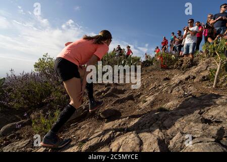 Läufer klimbing den vertikalen Kilometer während Transvulkania Stockfoto