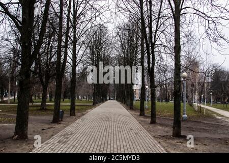 Eine Straße zwischen den Bäumen im Park in der dunklen bewölkten Tag Stockfoto