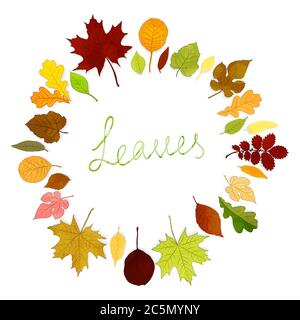 Bunte Blätter Rahmen auf weißem Hintergrund Vektor Stock Vektor
