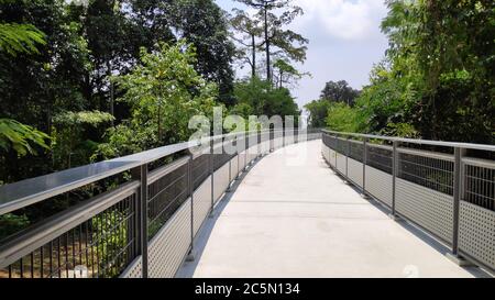 Fort Siloso Skywalk - 181 Meter langer Skywalk Trail bietet seinen Gästen eine malerische Wanderung zwischen den Baumwipfeln auf dem Weg nach Fort Siloso Stockfoto