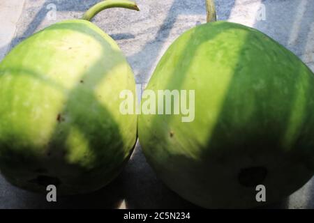 Grüne Kalabasse, Flaschengürde oder weiß geblümten Kürbis beschnitten und Nahaufnahme Anzeige. Stockfoto