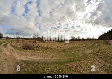 Unbefestigte Straße in einem Feld in der Nähe des Waldes an einem bewölkten Tag. Frühling oder Herbst. Stockfoto