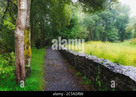 Fußweg zum Schloss Aughnanure, in der Nähe von Oughterard, Connemara, Grafschaft Galway, Republik Irland. Irland. Stockfoto