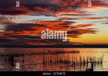 Silhouette von Vögeln, die in der Abenddämmerung auf Stangen stehen, in der Albufera in Valencia, einer Süßwasserlagune und Mündung in Ostspanien. Stockfoto