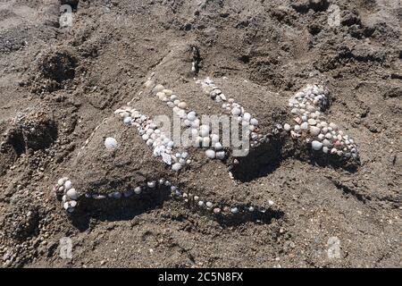 Fisch Sand Skulptur mit kleinen Muscheln an einem kroatischen Sandstrand dekoriert. Nin, Gespanschaft Zadar, Kroatien Stockfoto