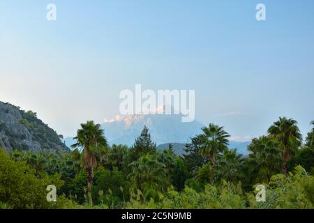 Tahtalı Dağı (Mount Olympos) von Çirali mit Palmen im Vordergrund, Antalya, Türkei Stockfoto