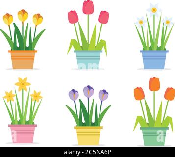 Frühlingsblumen - Set von Vektor-Illustrationen in flachem Stil mit verschiedenen Blumen in Töpfen. Tulpen, Narzissen, Krokus Stock Vektor