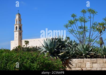 Die St. Peter's Church, eine Franziskanerkirche steht auf dem Hügel in Jaffa Port. Blick vom Garten. Fokus auf den Vordergrund Stockfoto