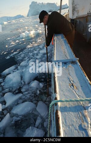 Ein Deckhand fischt Eis für die Getränke, die während einer Eisbergfahrt um die Monsterberge serviert werden, die vom Sermeq kujalleq Gletscher in die Disco Bay abgekalbt wurden. Stockfoto