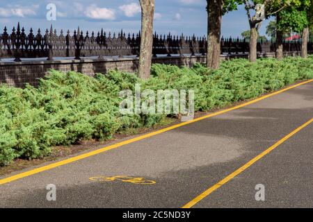 Symbol eines Fahrrads auf einer Asphaltstraße mit gelben Markierungen, grüne Büsche mit Bäumen, die in einer Reihe entlang des Zauns an der Seite der Straße wachsen. Stockfoto