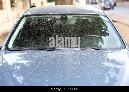 Die Windschutzscheibe eines schmutzigen Autos in Flecken und Tropfen von Schmutz nach einem Regen, Vorderansicht des Fensters mit Scheibenwischern. Stockfoto