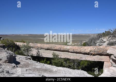 Agate Bridge im Petrified Forrest National Park in der Nähe von Holbrook Arizona Stockfoto