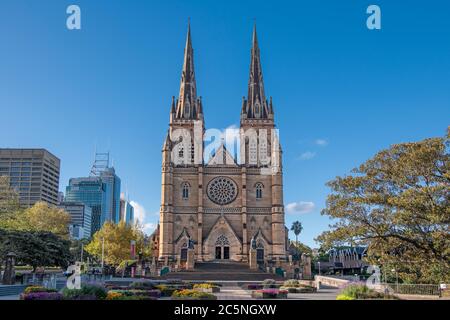 Fassade St Marys Kathedrale und Gärten Sydney Australien Stockfoto