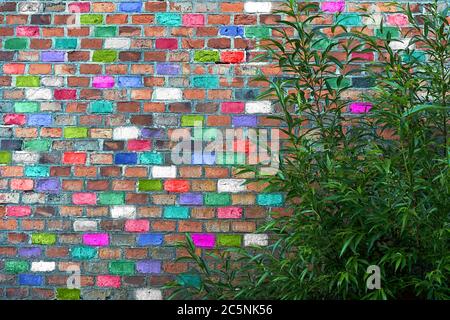 Ein Busch mit leuchtend grünen Blättern wächst gegen eine hohe Wand aus bunten Ziegeln. Stockfoto