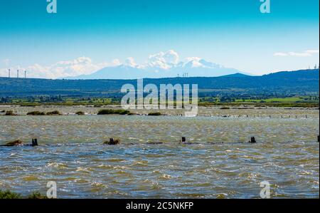 Mont Canigou,Occitanie depuis Le Salin de La Palme,Occitanie,Frankreich. Stockfoto