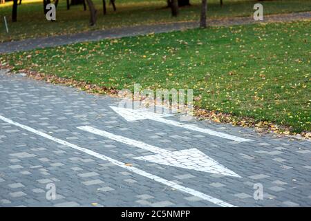 Fahrradweg mit Markierungen und Pfeilen in einem Parkbereich zum Entspannen mit grünen Rasenflächen und gelben Herbstblättern, niemand leer. Stockfoto