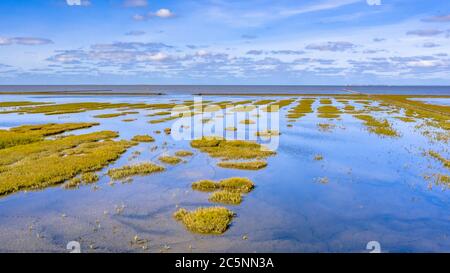 Luftaufnahme von Gezeitenmoor bei Flut im Nationalpark und UNESCO Weltkulturerbe Waddensea in der Provinz Groningen. Niederlande Stockfoto