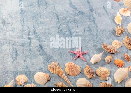 Sommer, Urlaub, Urlaub, Seestern und Seashell auf Blue Plank. Sommer Urlaub Konzept Hintergrund mit Kopierraum. Meeresobjekte, verschiedene Seeseereseeres Stockfoto