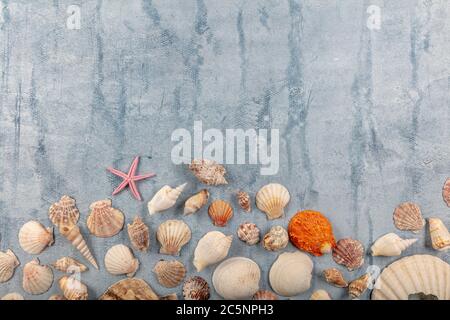 Sommer, Urlaub, Urlaub, Seestern und Seashell auf Blue Plank. Sommer Urlaub Konzept Hintergrund mit Kopierraum. Meeresobjekte, verschiedene Seeseereseeres Stockfoto
