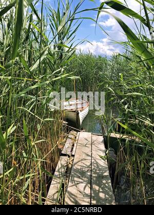 Boot vertäut auf hölzernen Spazierwegen im Schilf am Plattensee in Ungarn. Stockfoto