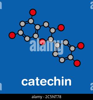 Catechin pflanzliche Antioxidans Molekül. Stilisierte Skelettformel (chemische Struktur): Atome werden als farbcodierte Kreise dargestellt: Wasserstoff (versteckt), Kohlenstoff (grau), Sauerstoff (rot). Stockfoto