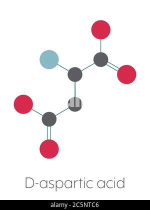 D-Asparaginsäure (D-Aspartat) Aminosäuremolekül. Stilisierte Skelettformel (chemische Struktur): Atome werden als farbcodierte Kreise dargestellt: Wasserstoff (versteckt), Kohlenstoff (grau), Sauerstoff (rot), Stickstoff (blau). Stockfoto