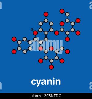 Cyanin oder Cyanidin-3,5-O-Diglucosid-Molekül. In Granatapfelsaft. Stilisierte Skelettformel (chemische Struktur): Atome werden als farbcodierte Kreise dargestellt: Wasserstoff (versteckt), Kohlenstoff (grau), Sauerstoff (rot). Stockfoto