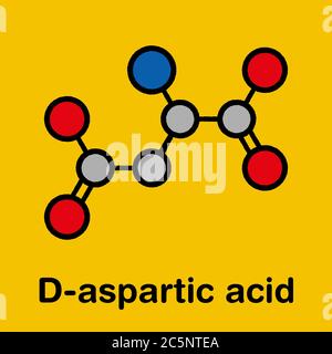 D-Asparaginsäure (D-Aspartat) Aminosäuremolekül. Stilisierte Skelettformel (chemische Struktur): Atome werden als farbcodierte Kreise dargestellt: Wasserstoff (versteckt), Kohlenstoff (grau), Sauerstoff (rot), Stickstoff (blau). Stockfoto