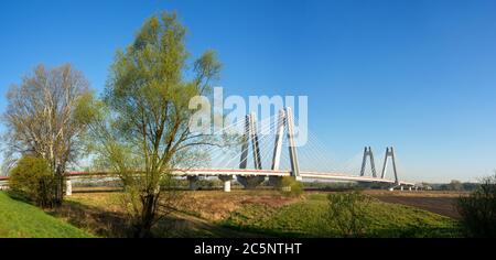 Moderne Doppelbrücke mit Kabelstegbrücke über die Weichsel in Krakau, Polen. Breites Panorama bei Sonnenaufgang mit Bäumen Stockfoto