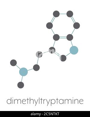 Dimethyltryptamin (DMT) psychedelisches Arzneimittelmolekül. Im Getränk Ayahuasca anwesend. Stilisierte Skelettformel (chemische Struktur): Atome werden als farbcodierte Kreise dargestellt: Wasserstoff (versteckt), Kohlenstoff (grau), Stickstoff (blau). Stockfoto