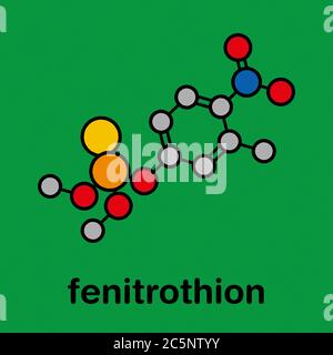 Fenitrothion Phosphorothioat Insektizid Molekül. Stilisierte Skelettformel (chemische Struktur): Atome werden als farbkodierte Kreise dargestellt: Wasserstoff (versteckt), Kohlenstoff (grau), Stickstoff (blau), Sauerstoff (rot), Schwefel (gelb), Phosphor (orange). Stockfoto